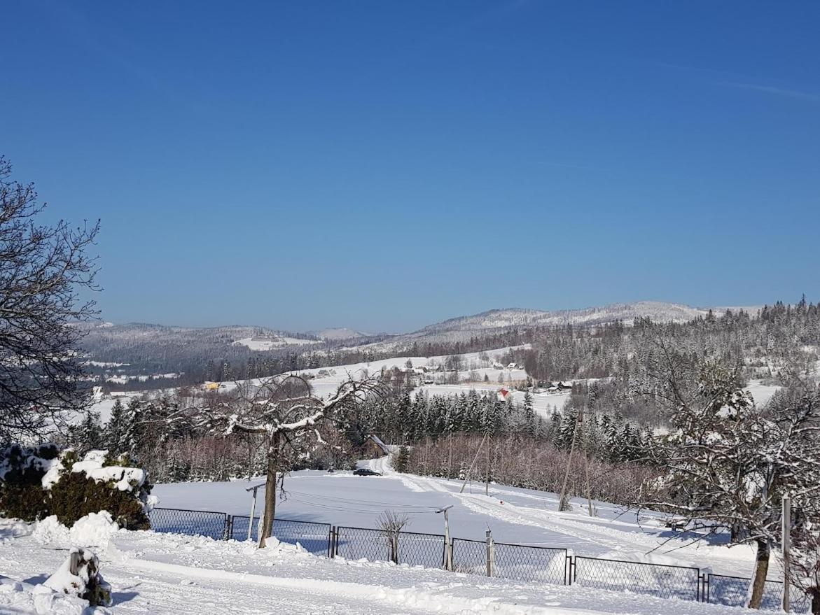 Agroturystyka Koronkowe Zacisze Koniakow Exterior photo